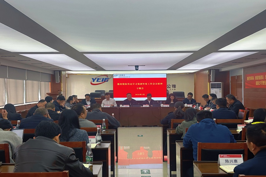 能投股份召开集团年度工作会议精神 传达学习专题会